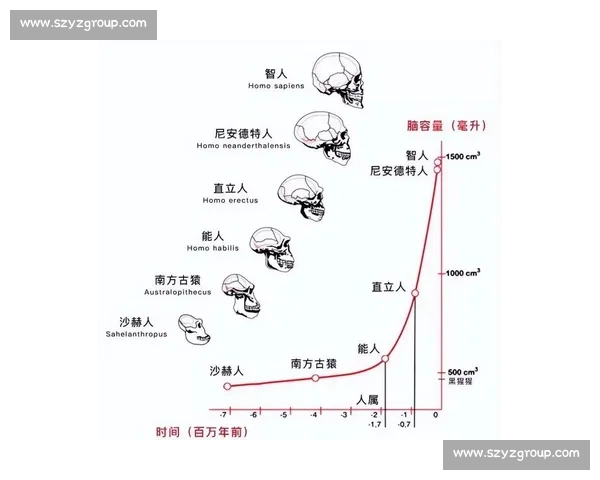 北京人vs现代智人：进化分岔与文明起源之争全解析深度研究图景